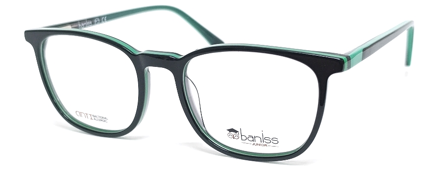Оправа для очков baniss BS 8084 купить много