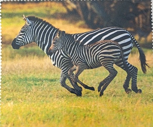 Салфетка для очков с рисунком  фотография-5