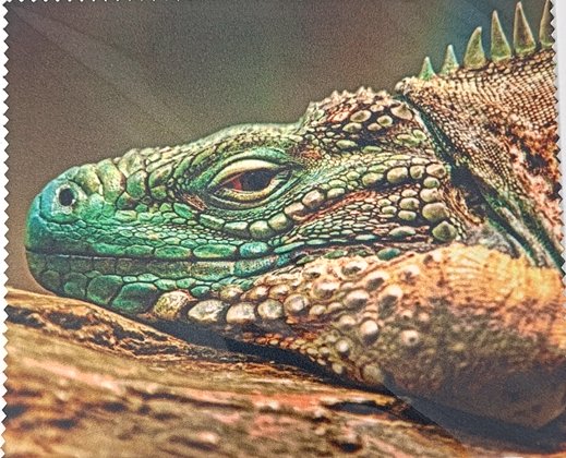 Салфетка для очков с рисунком  фотография-6