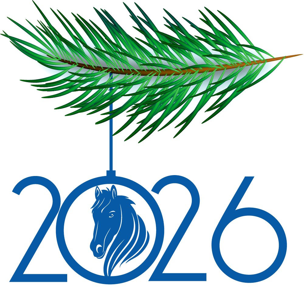 Будь на коне в Новом 2026 году!
