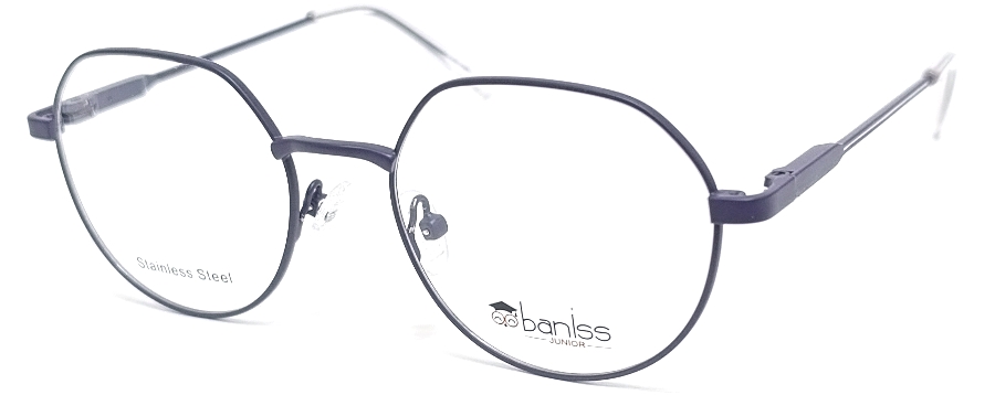 Оправа для очков baniss BR 5083 купить много