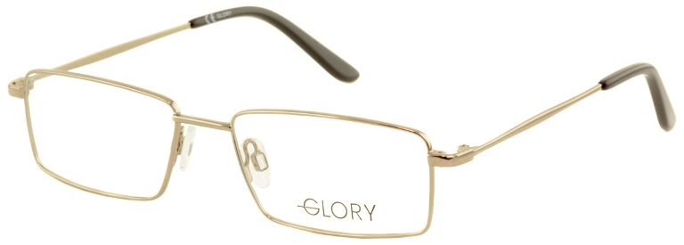 Оправа для очков GLORY 220 купить много
