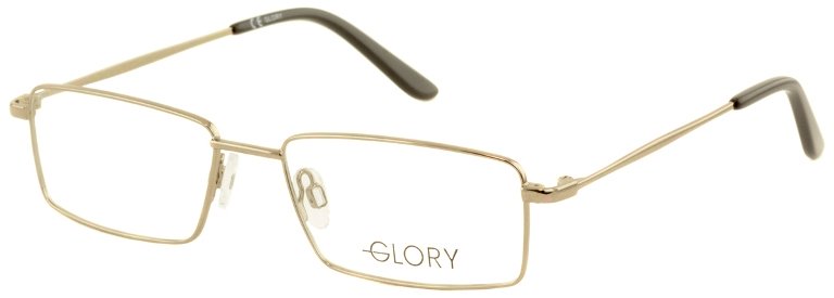 Оправа для очков GLORY 220 купить много
