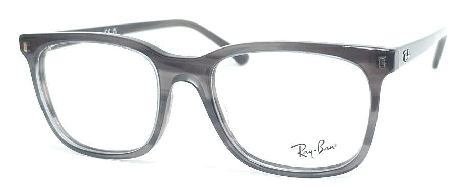 Оправа для очков RAY BAN RB5446 купить много
