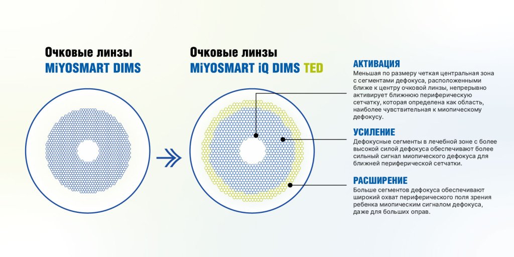 STS_вектор-02.jpg
