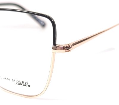 Оправа для очков Willian Morris London LN50190  фотография-10