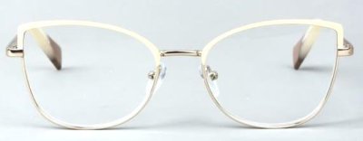Очки готовые Glodiatr G1815  фотография-2