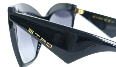 Очки солнцезащитные ETRO ETRO 0044/S  фотография-5