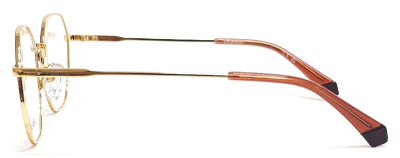 Оправа для очков Polaroid PLD D555  фотография-15