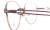 Оправа для очков Alessandro Bruno 1251  фотография-5