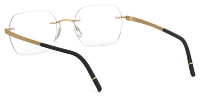 Оправа для очков Silhouette Momentum 5529  фотография-32