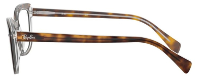 Оправа для очков RAY BAN RB5366  фотография-3