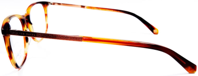 Оправа для очков TED BAKER Archer 8219  фотография-4
