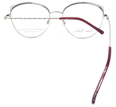 Оправа для очков Pierre Cardin P.C. 8880  фотография-8