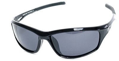 Очки солнцезащитные BABILON BL0711  фотография-1