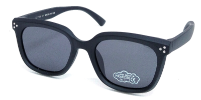 Очки солнцезащитные OLIVA CT11103  фотография-1