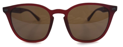 Очки солнцезащитные TED BAKER Flemming 1595  фотография-2