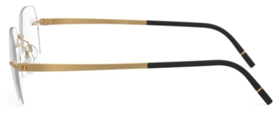 Оправа для очков Silhouette Momentum 5529  фотография-31