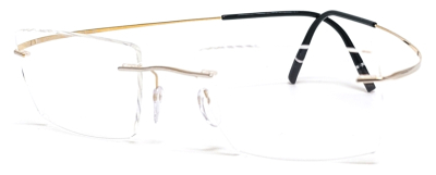 Оправа для очков Silhouette Atelier NEXT Titan Minimal ArtDor L022  фотография-1