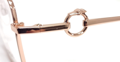 Оправа для очков TRUSSARDI TSW1036  фотография-5