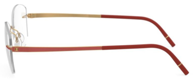 Оправа для очков Silhouette Momentum 5529  фотография-43