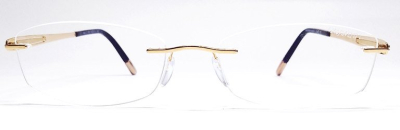 Оправа для очков Silhouette Finesse 4426 + упc.  фотография-2