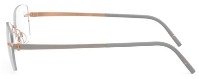 Оправа для очков Silhouette Momentum 5529  фотография-35