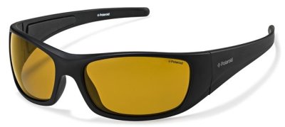 Очки солнцезащитные Polaroid P7420  фотография-1