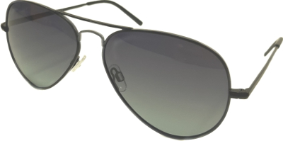 Очки солнцезащитные Polaroid PLD1017/S  фотография-1